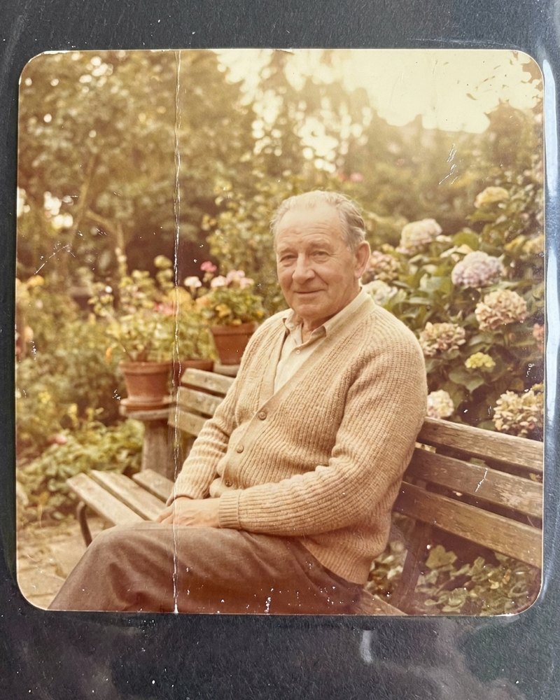 Het portret zoals het in het album zat